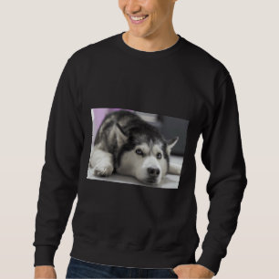 Moletom Siberian Husky 32