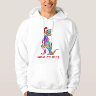 Moletom Slogan do Dinossauro Colorido Engraçado T Rex de N