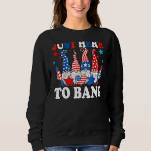 Moletom Só Aqui Para Bang 4 De Julho Fireworks American G