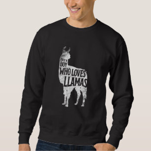 Moletom Só Um Menino Que Ama Lhamas Llama Meninas Costu