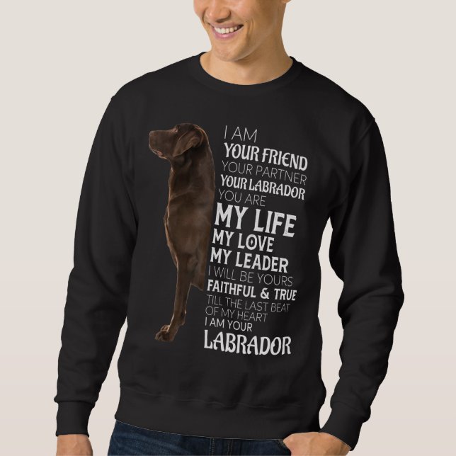 Moletom Sou Seu Amigo Seu Parceiro Seu Laboratório De Choc (Frente)