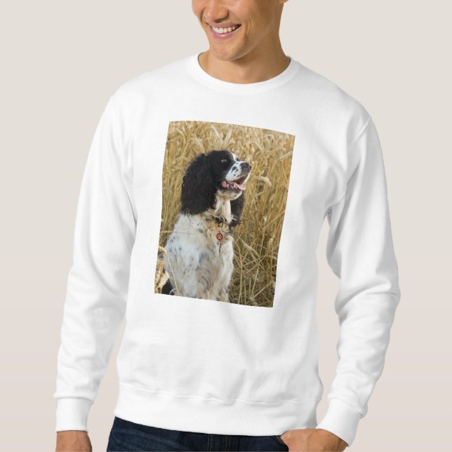 Moletom spaniel de springer inglês em wheat.png (Frente)