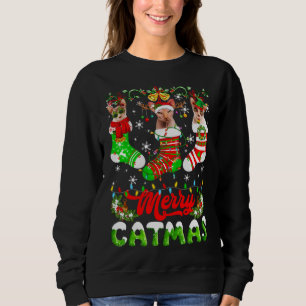 Moletom Sphynx Cat Christmas Santa Hat Scarf Holiday Cute