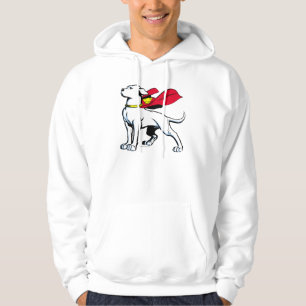 Moletom Supercão Krypto