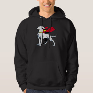 Moletom Supercão Krypto