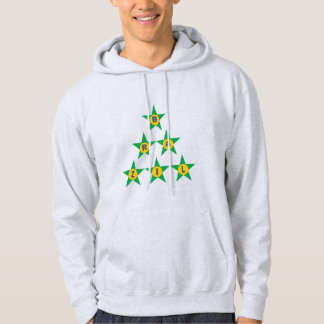 Moletom Sweat à capuche cendre  DESIGN  ETOILES  BRAZIL