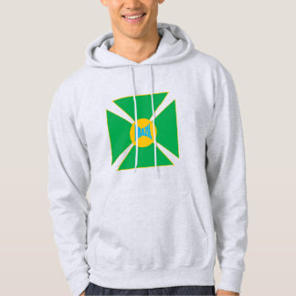 Moletom Sweat à capuche cendre homme  BRAZIl  