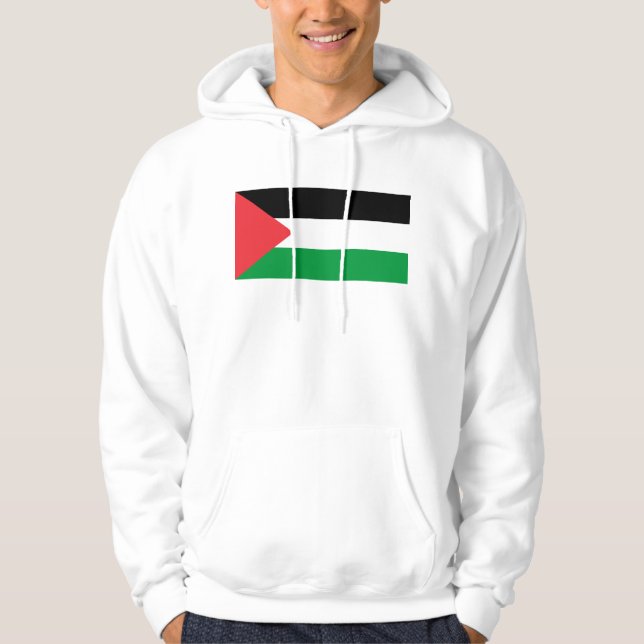 Moletom Sweatshirt Hooded com pavilhão da Palestina (Frente)