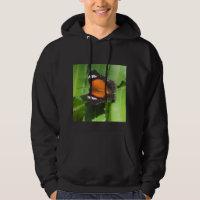 Sweet de borboletas tropicais