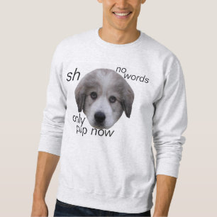 Moletom tempo do filhote de cachorro