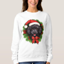Terra de Natal do Poodle Negro