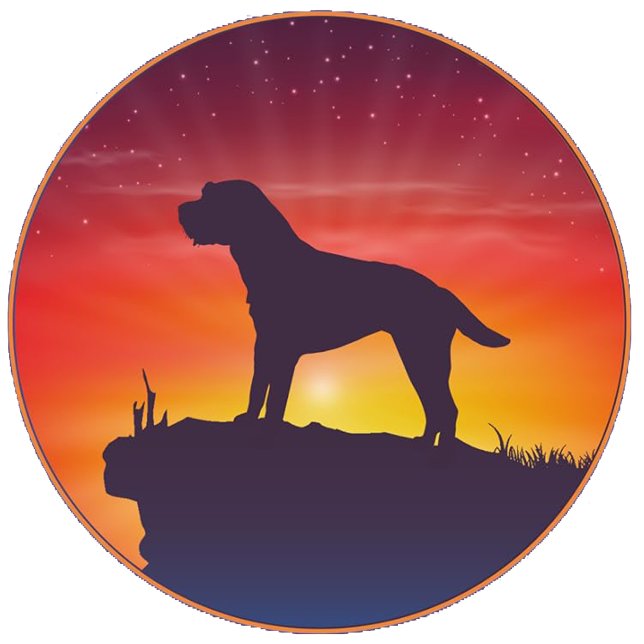 MOLETOM TERRIER WHEATEN DE PELO MACIO (Check out what I found! 🙂 I’m so excited to hear your feedback! 😍)