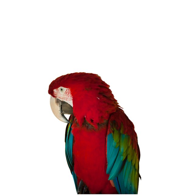 Moletom This elegant t-shirt design (Criador carregado)