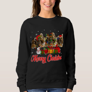 Moletom Tigre Natal Pajama Funny Xmas Lights