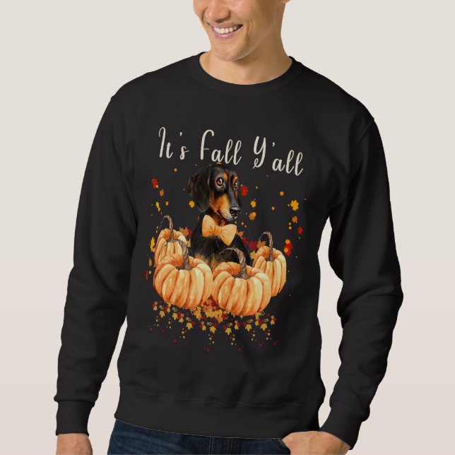 Moletom Todas as roupas do Dachshund (Frente)