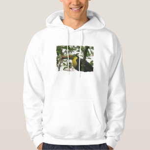 Moletom Toucan na selva