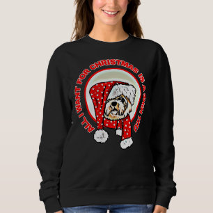 Moletom Tudo O Que Quero É Um Shih Tzu