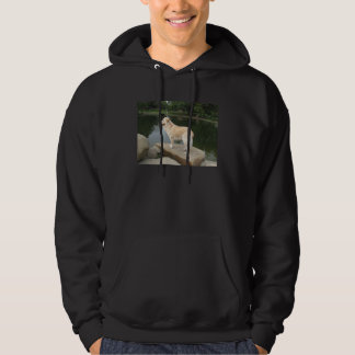 Moletom Um Cão Em Um Lago