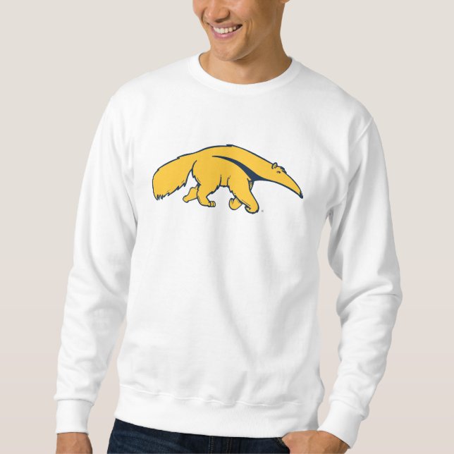 Moletom Universidade da Califórnia, Irvine Anteater (Frente)