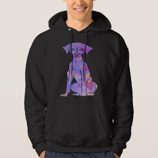 Moletom Whippet Colorido (Frente)