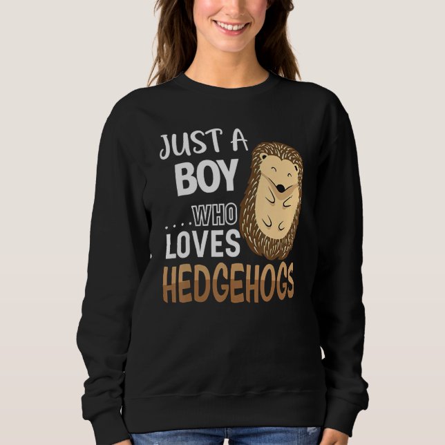 Moletom Womens Hedgehog Just A Boy Who Loves Hedgehog Cost (Frente)