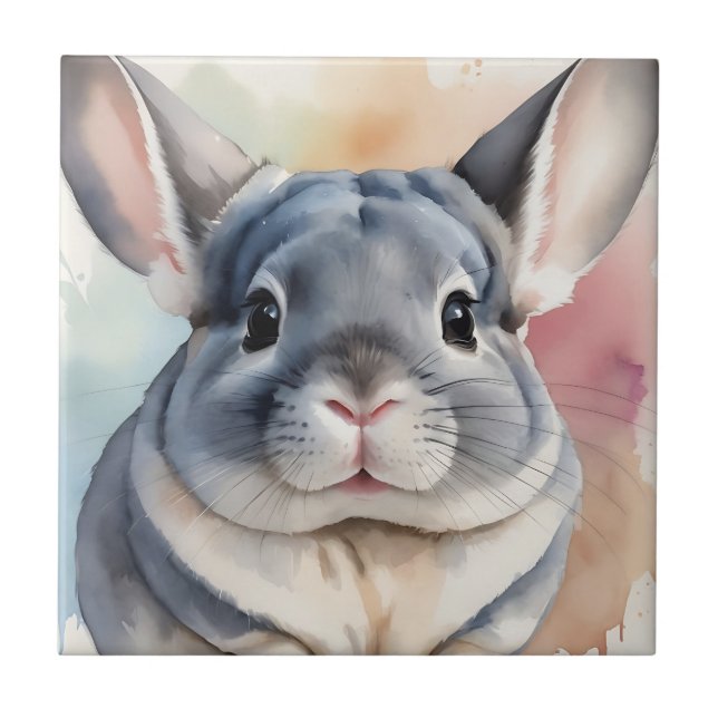 Molho Chinchilla Portrait (Frente)