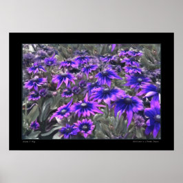 Momento negro na Poster Gloriosa