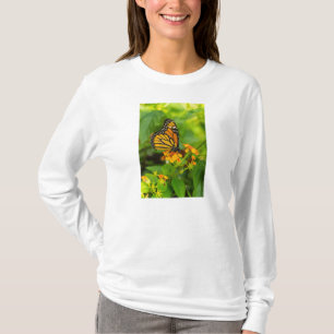 Monarca Na Camiseta De Lantana De Leve Longa
