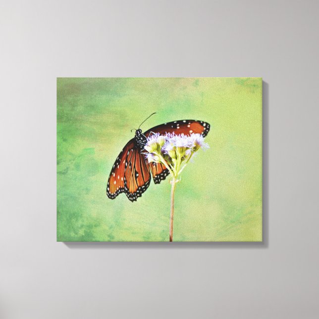 Monarch Butterfly e Flowers Canvas (Frente)