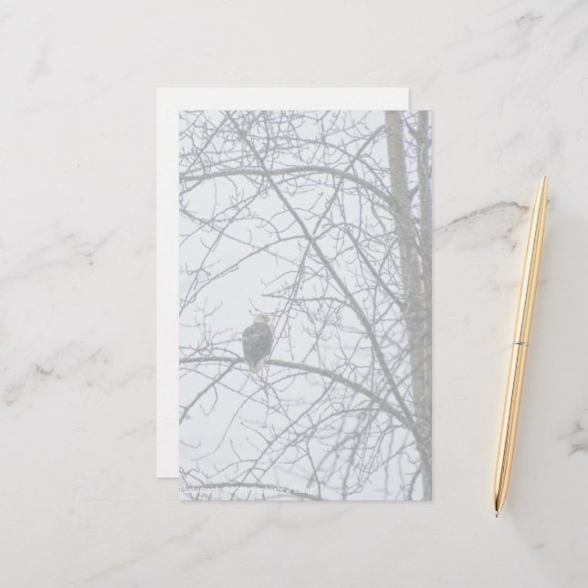 Monitoramento (Frente/Verso In Situ)