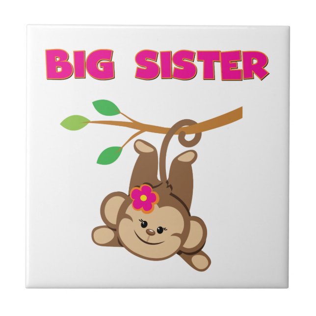 Monkey Big Sister (Frente)