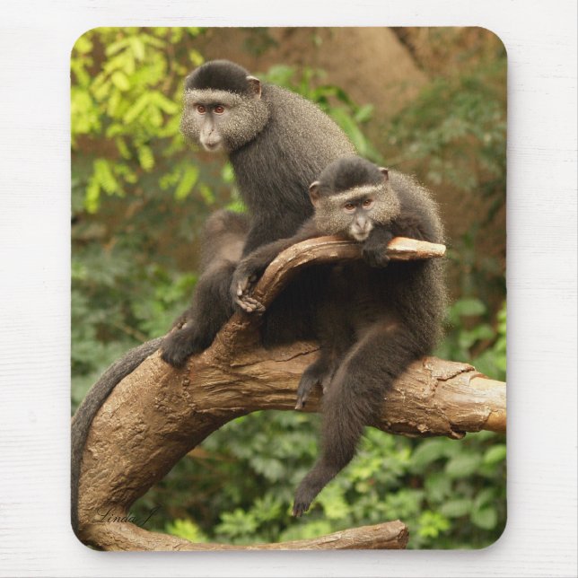 Monkey Mousepad (Frente)