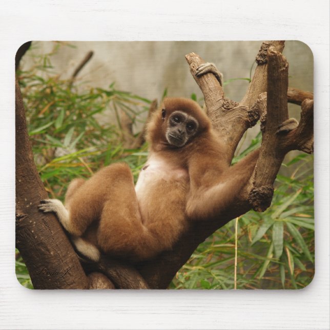 Monkey Mousepad (Frente)