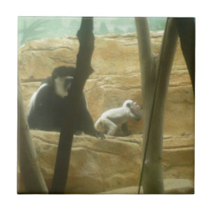 Monkey Play