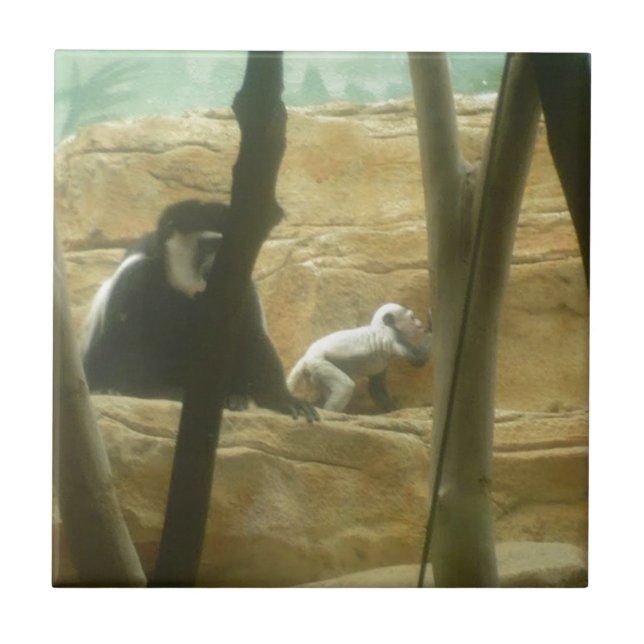 Monkey Play (Frente)