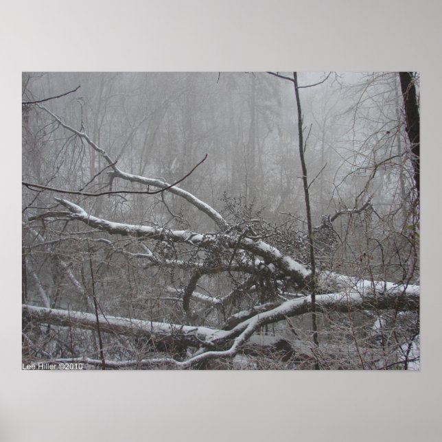 "Monocromo Blizzard" Snow Storm Poster (Frente)