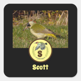 Monograma de Fotografia do Nome de etiqueta Pica-P