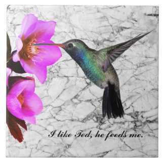 MONOGRAMA HUMMINGBIRD