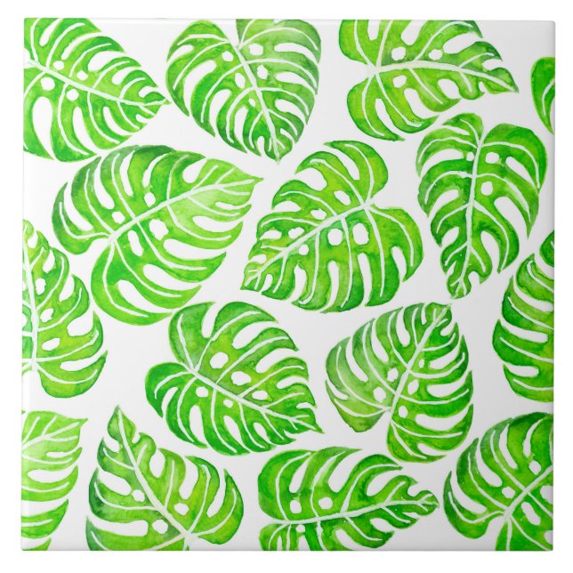 Monstera deixa aquarela (Frente)
