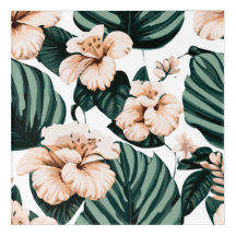 Monstera deixa hibisco