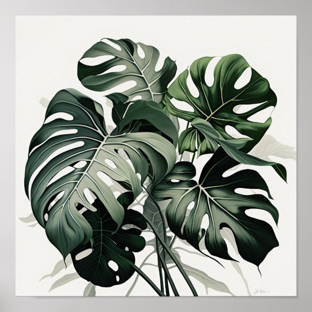 Monstera deixa Impressão (Frente)