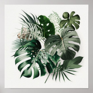 Monstera deixa Impressão