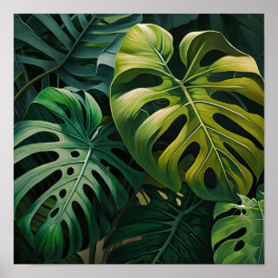 Monstera deixa Impressão
