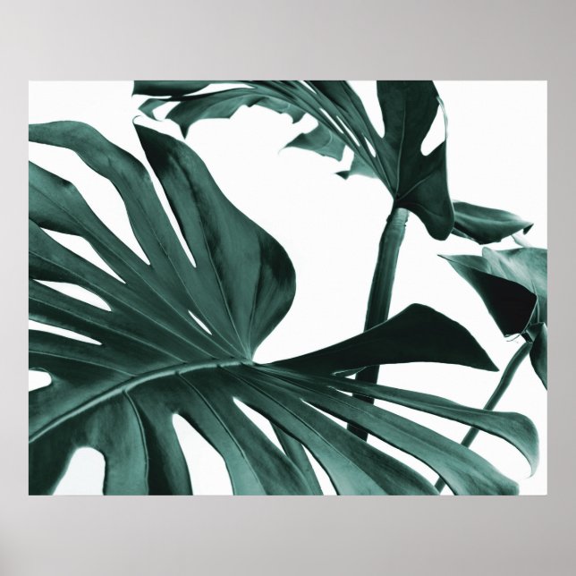 Monstera deixa Poster (Frente)