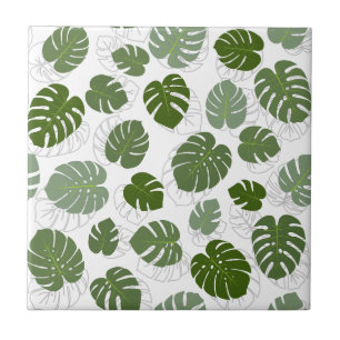 Monstera Folaves