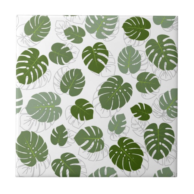 Monstera Folaves (Frente)