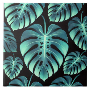 Monstera Misteriosa