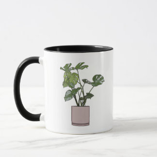 Monstera numa caneca cor-de-rosa Pote