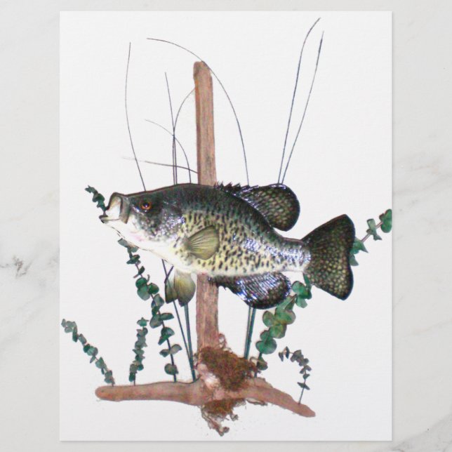 Montagem Crappie (Frente)