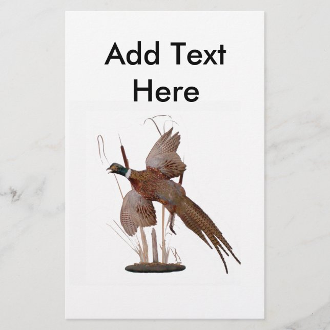 Montagem de faisão (Frente)